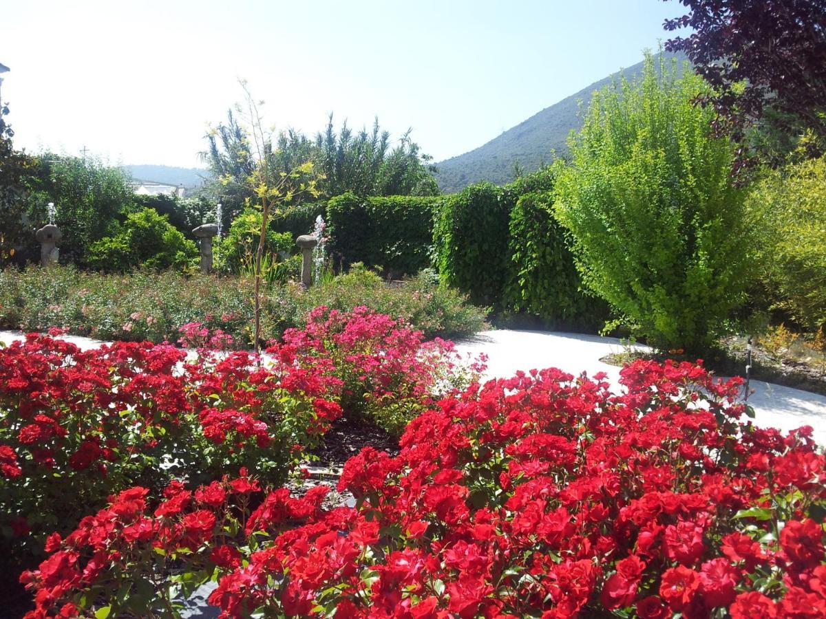 Amalurra Granada Hotel Caparacena ภายนอก รูปภาพ